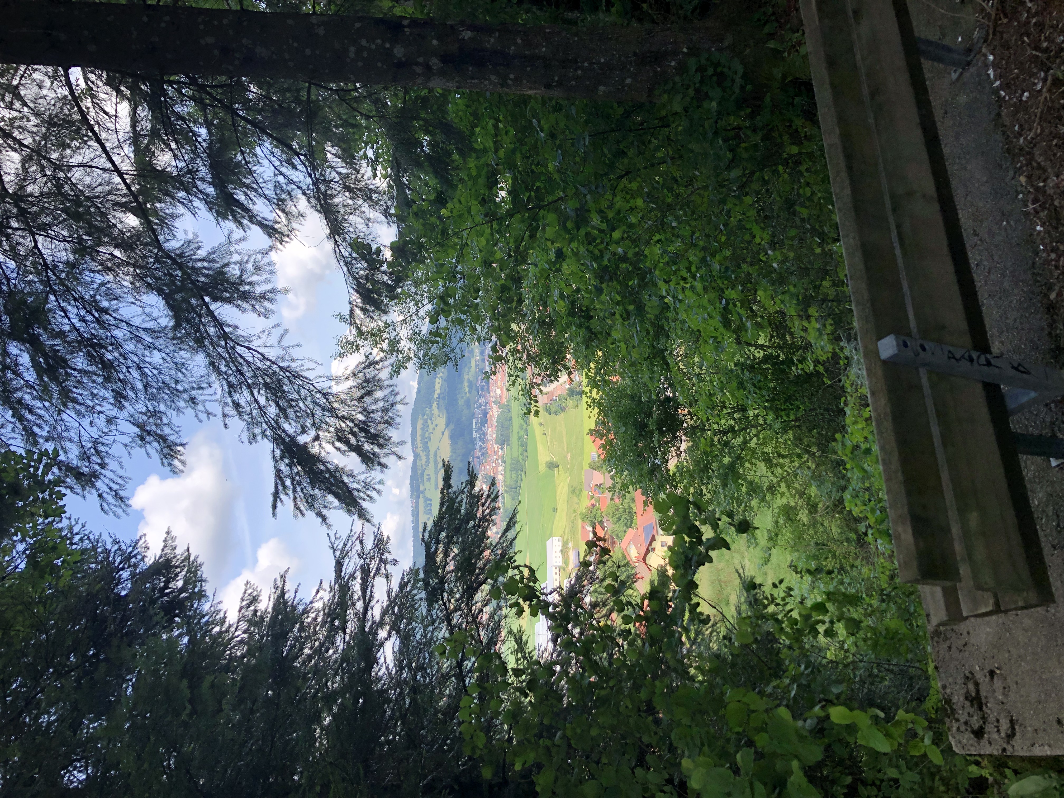 Paysage du Doubs - Montlebon