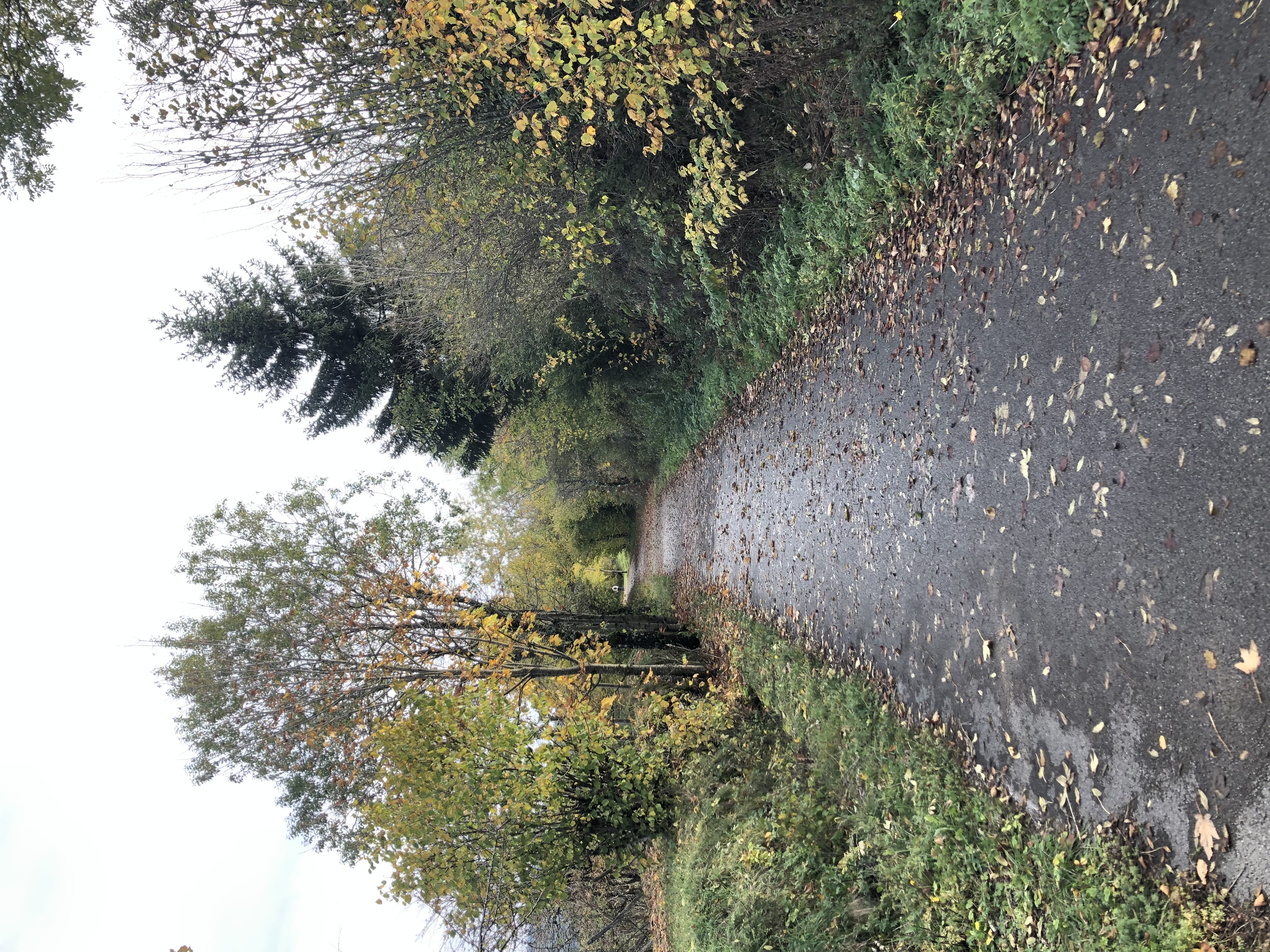 Paysage du Doubs - Voix verte, Gilley