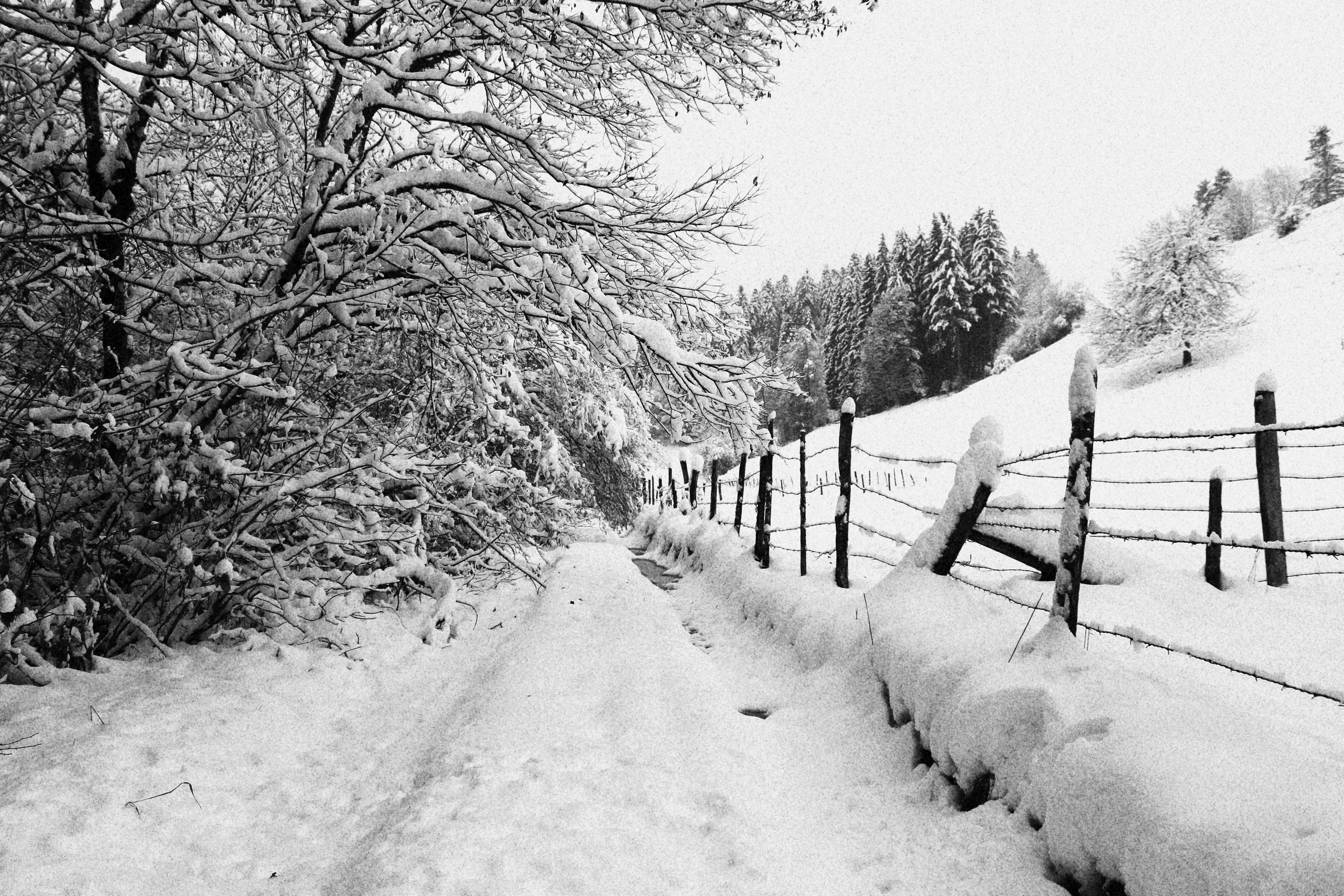 Paysage du Doubs sous la neige