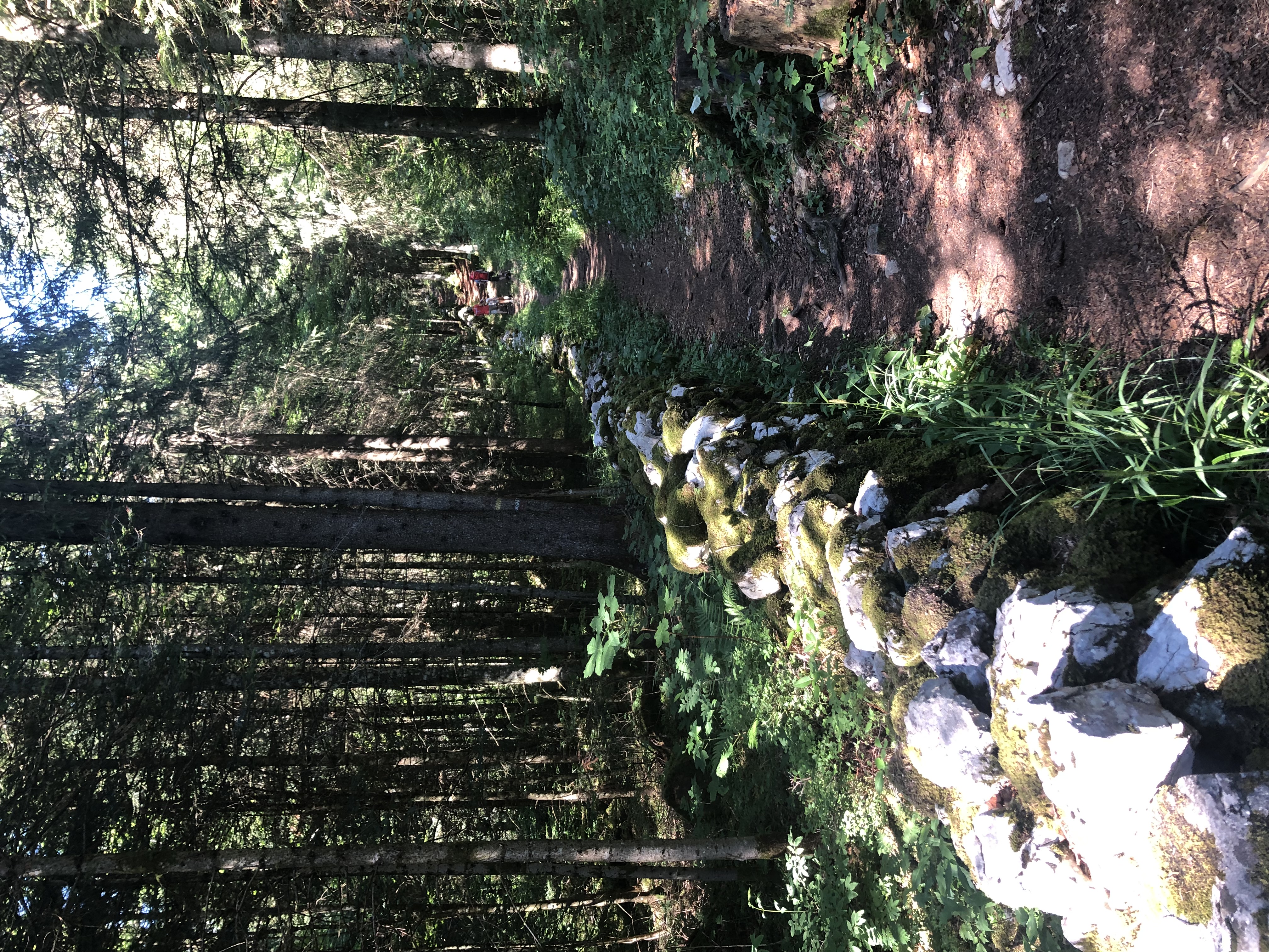 Paysage du Doubs - Chemin de la contrebande