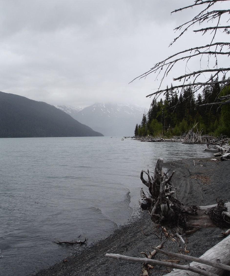 Kenai Lake looking North