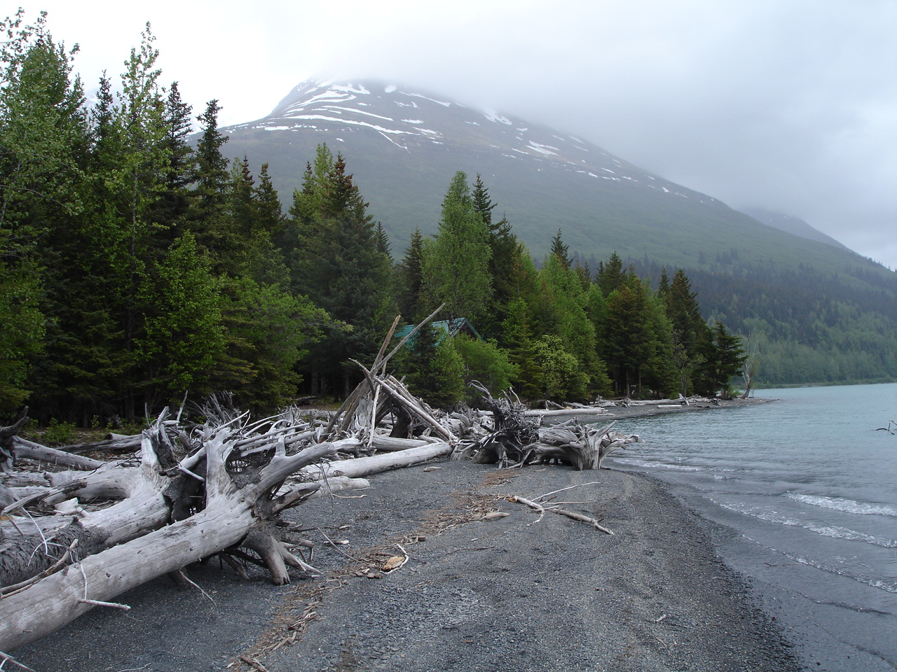 Driftwood Fort on Kenai Lake