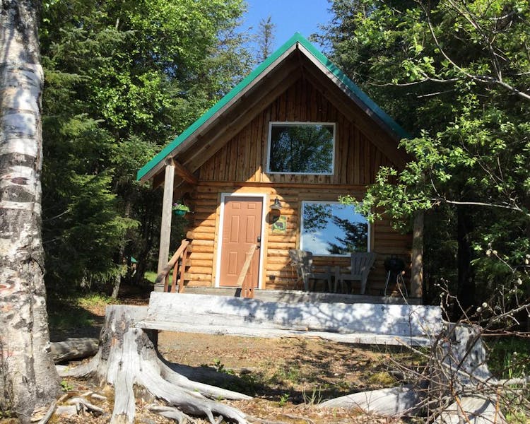 Lakeview Cabin front