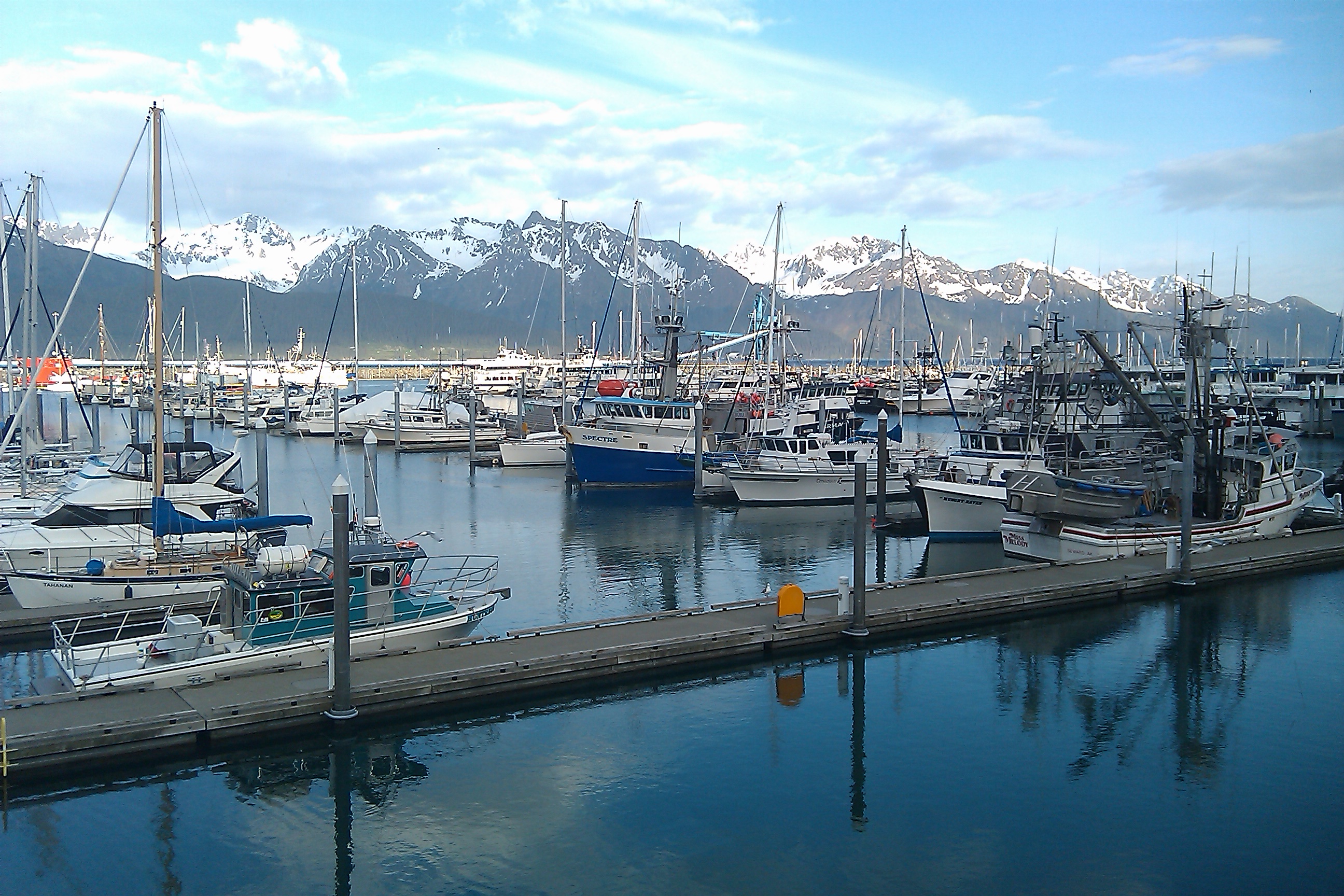 Small Boat Harbor in Seward