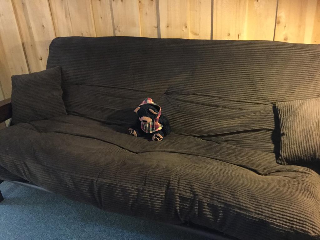 Cabin #6 full futon