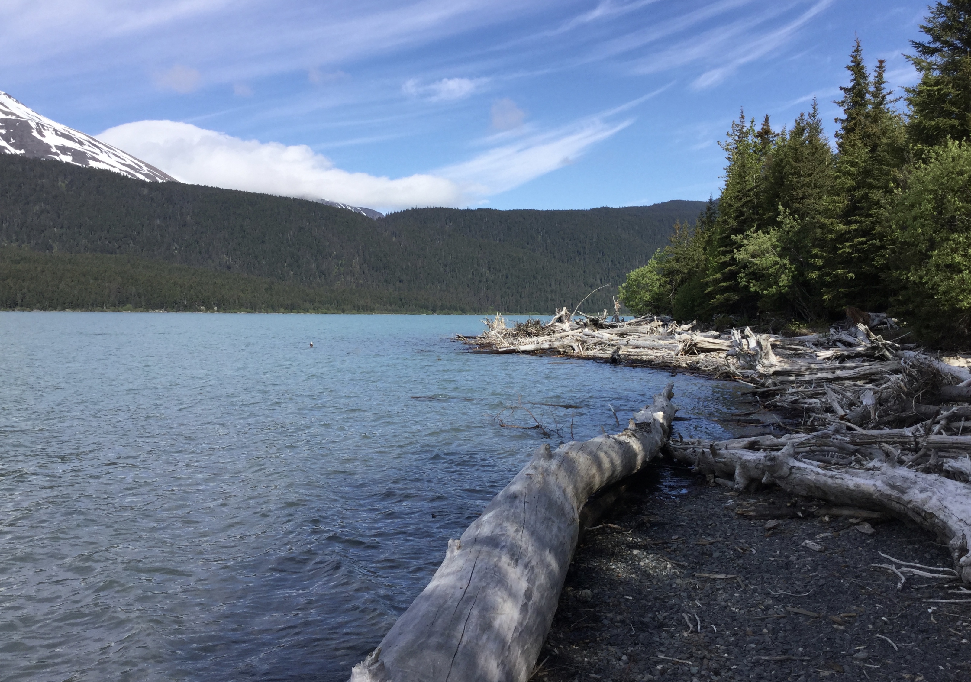 Kenai Lake looking North
