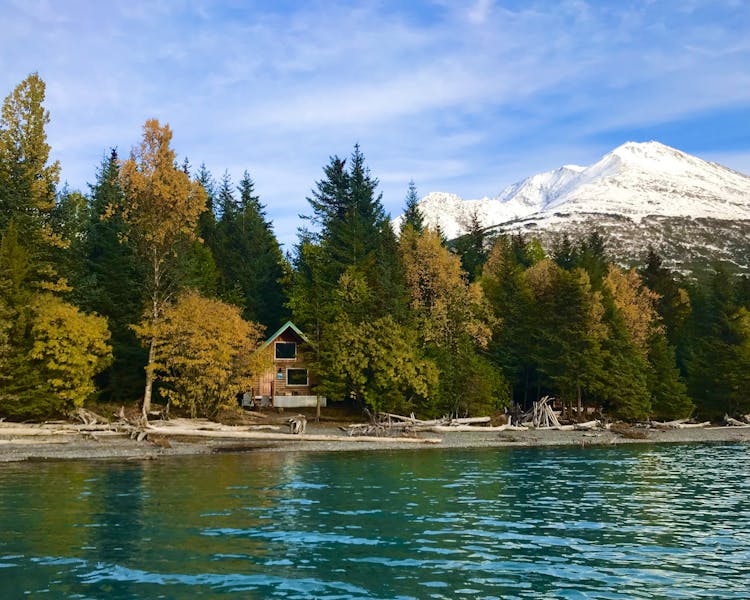 View of Lakeside Cabin from Kenai Lake