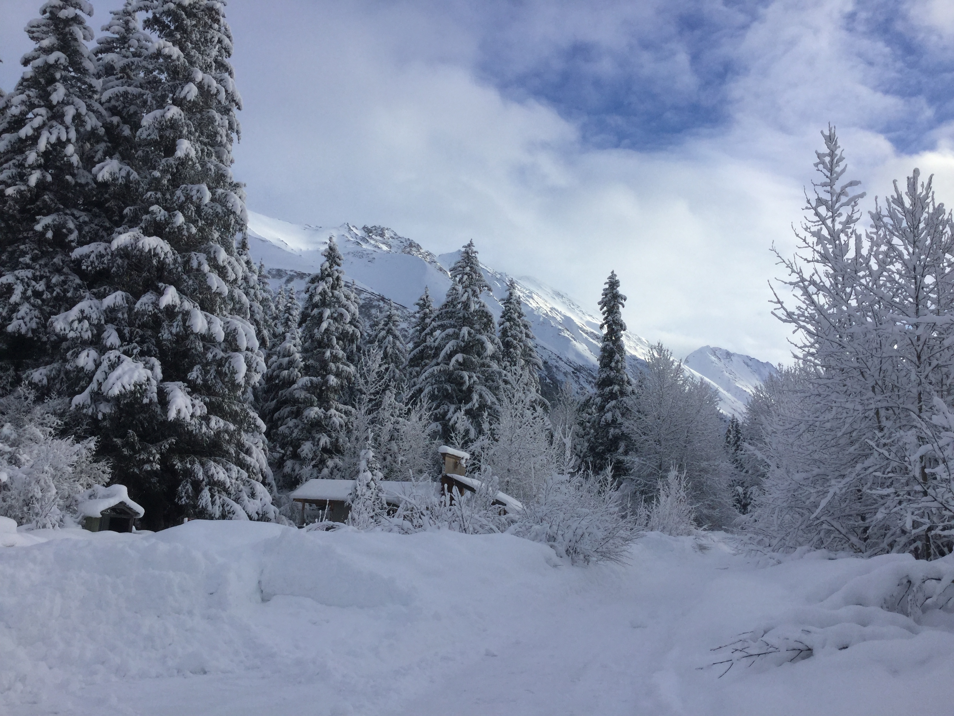 Property in the Winter