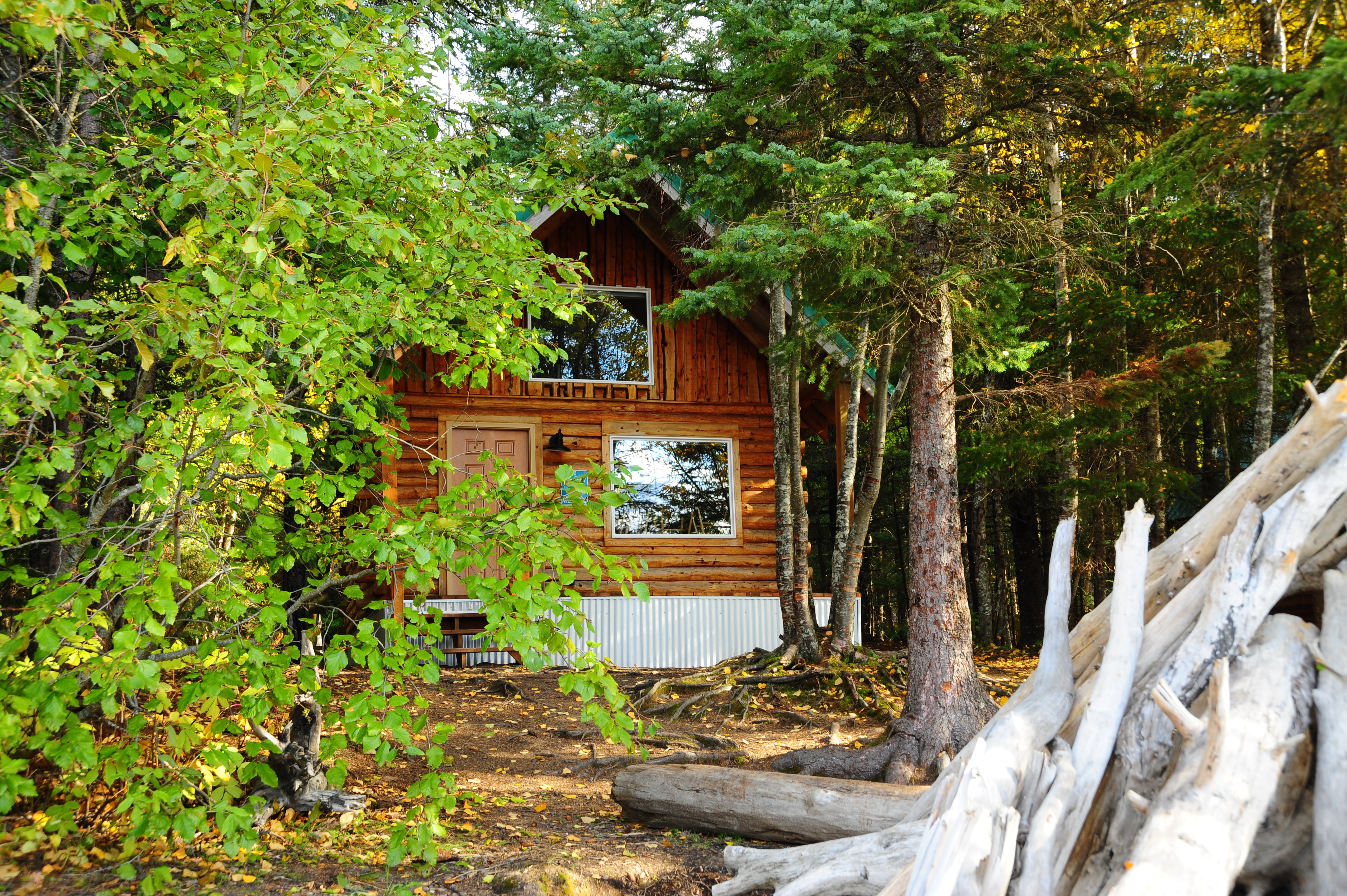 Lakeside Cabin Outside