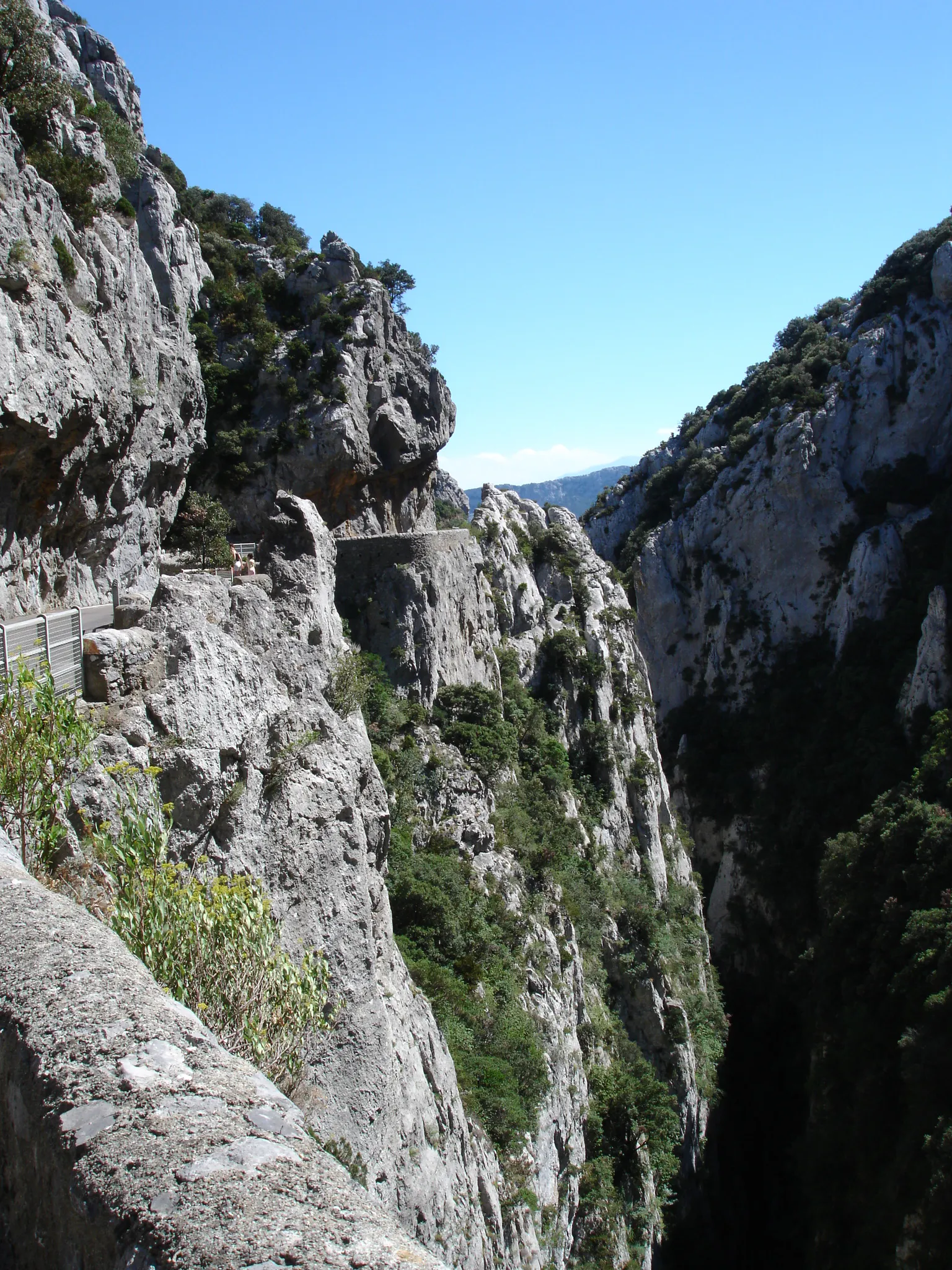 Vue sur les gorges de galamus