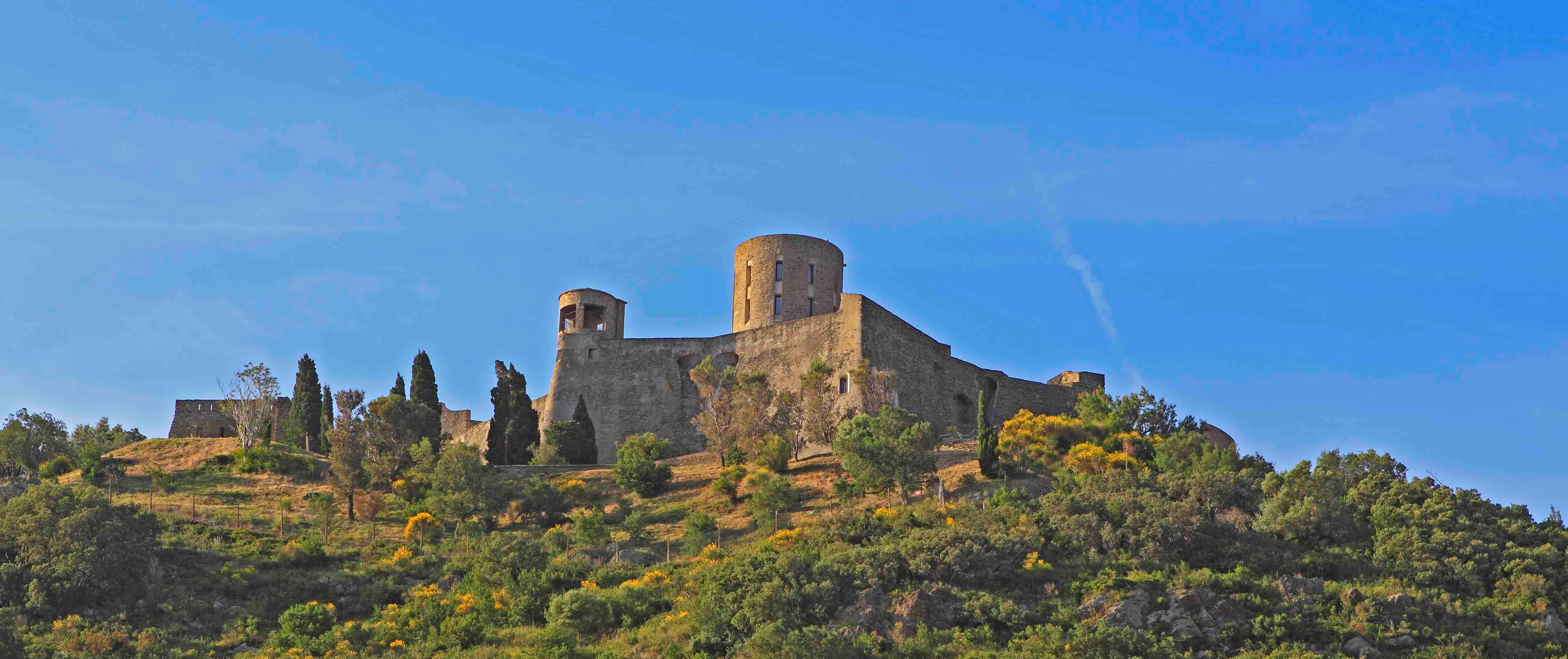 Vue sur le fort saint elme depuis collioure