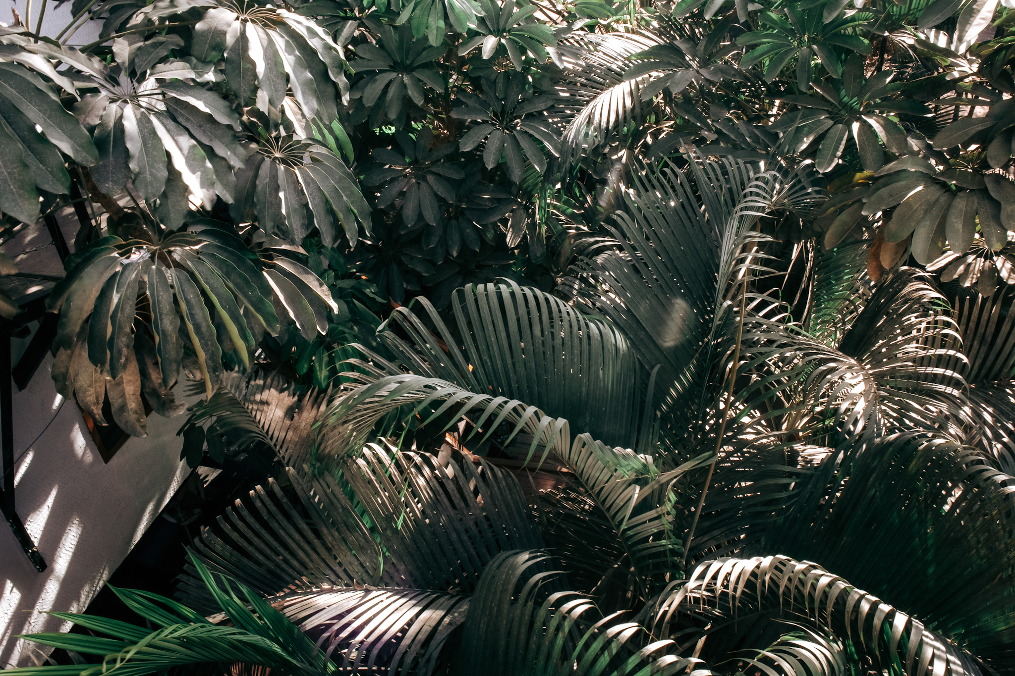 Best Hotels In Sayulita