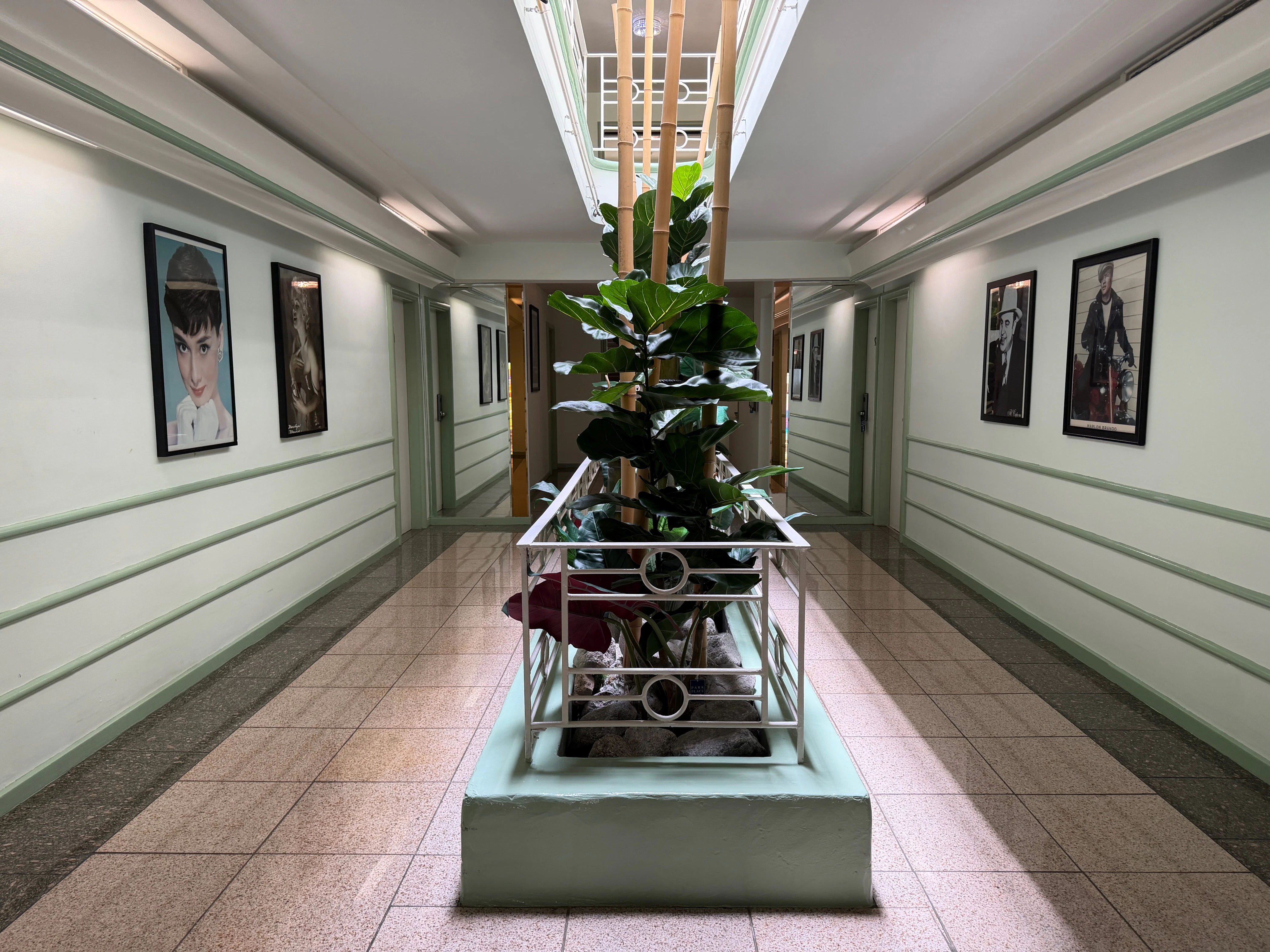 A long, well-lit hallway with a plant and artwork on the walls.