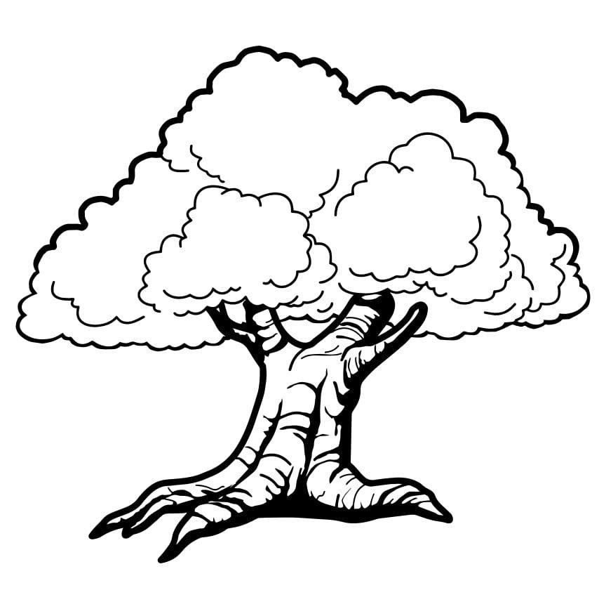 Simplicity Restaurant - 10% Discount