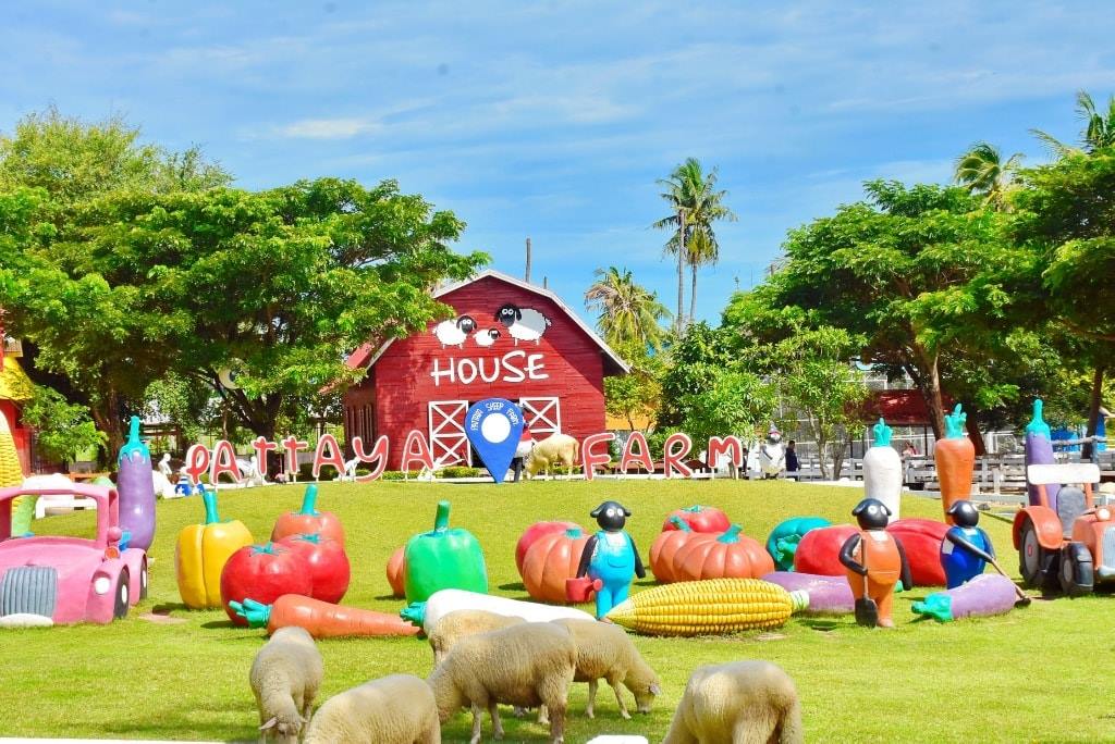 Pattaya Sheep Farm