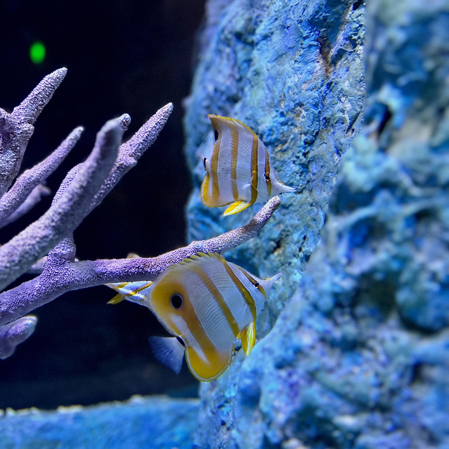 Underwater World Pattaya