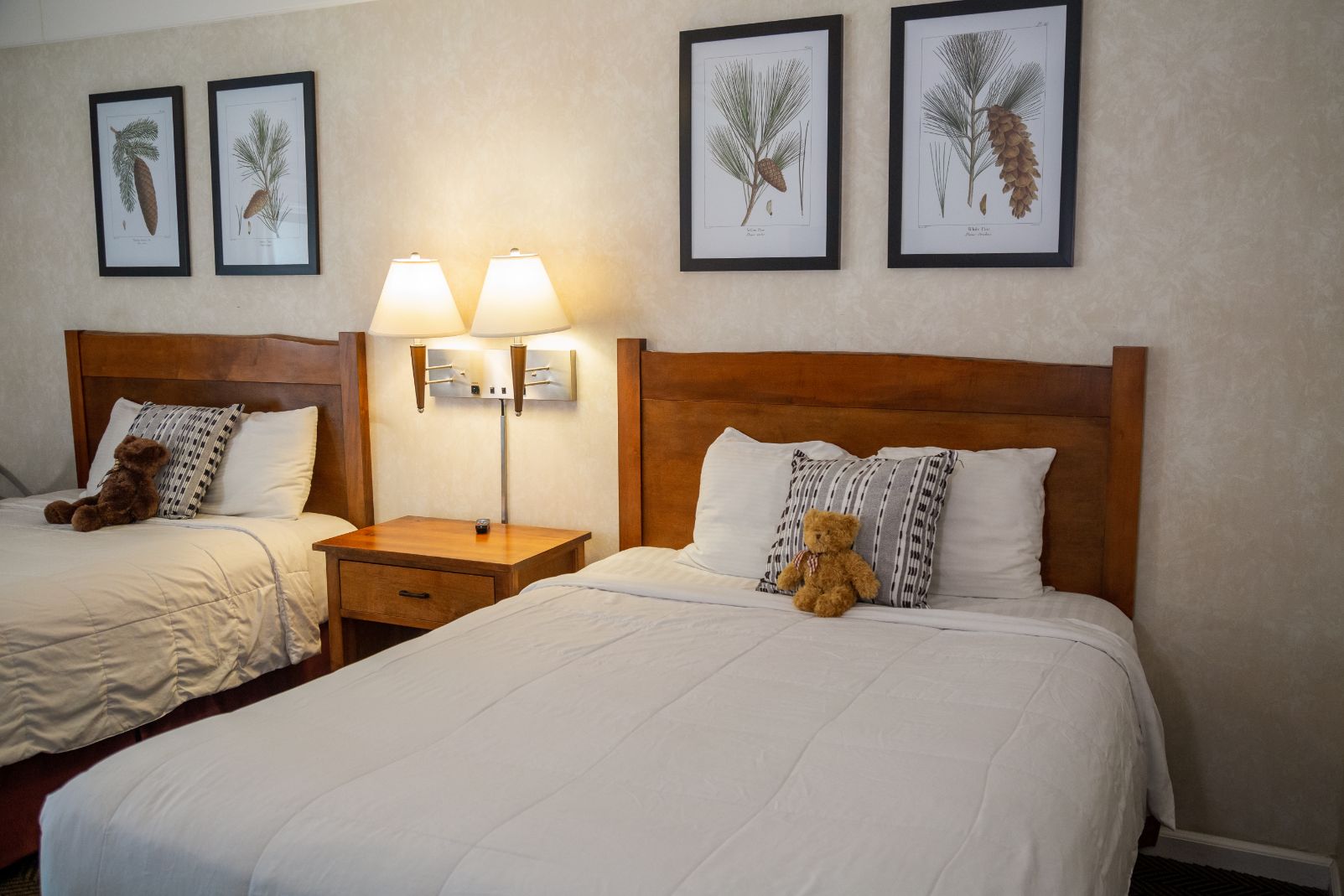 Classic Mountain View Two Queen Beds