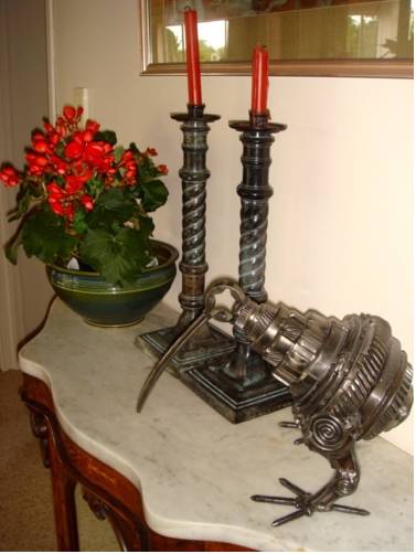 Many Kiwis live here