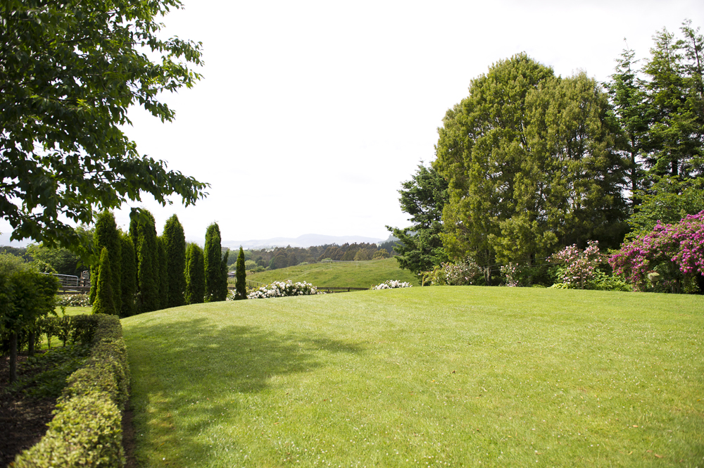 When was the last time you laid still on the grass and listened to the birds