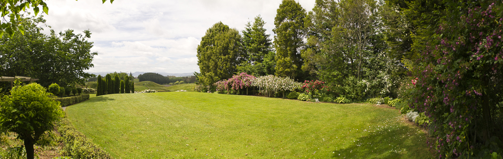 Take time to smell the roses