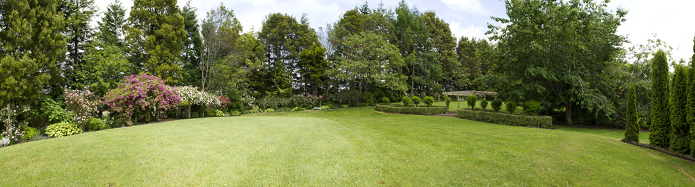 Listen to the birds in the garden