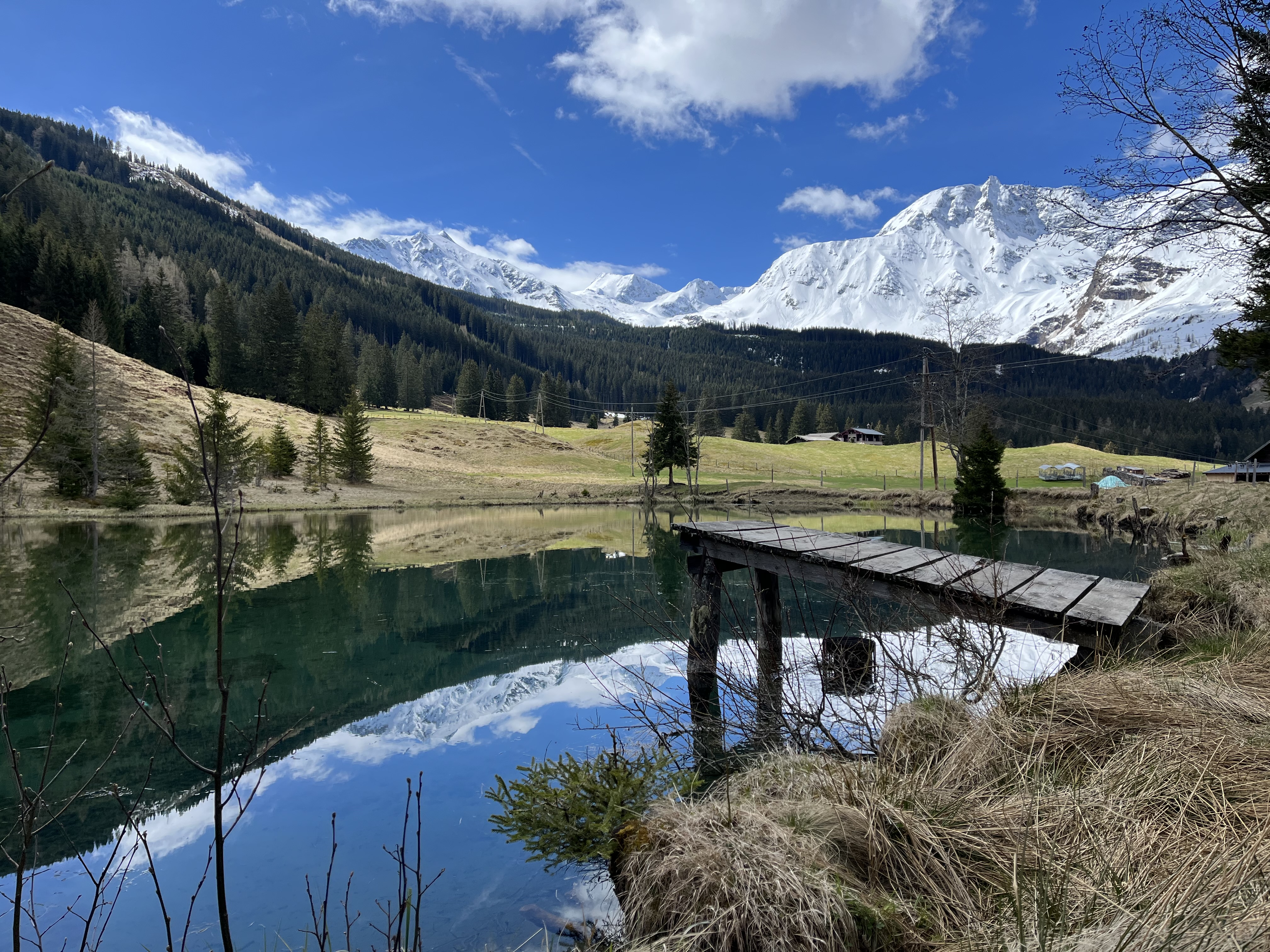 Rauris - Kolm Saigurn - Nature