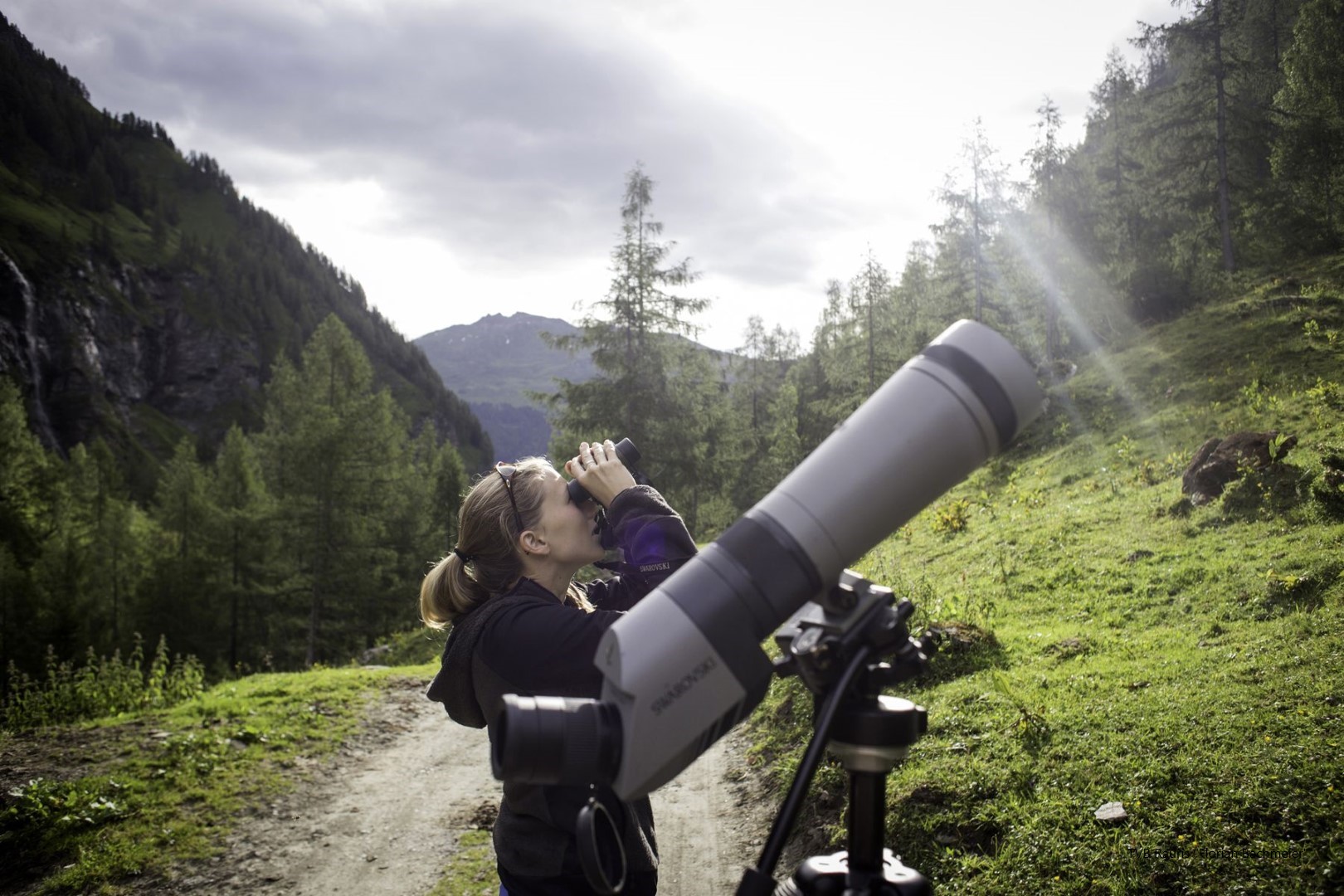 Tal der Geier in Rauris Salzburg