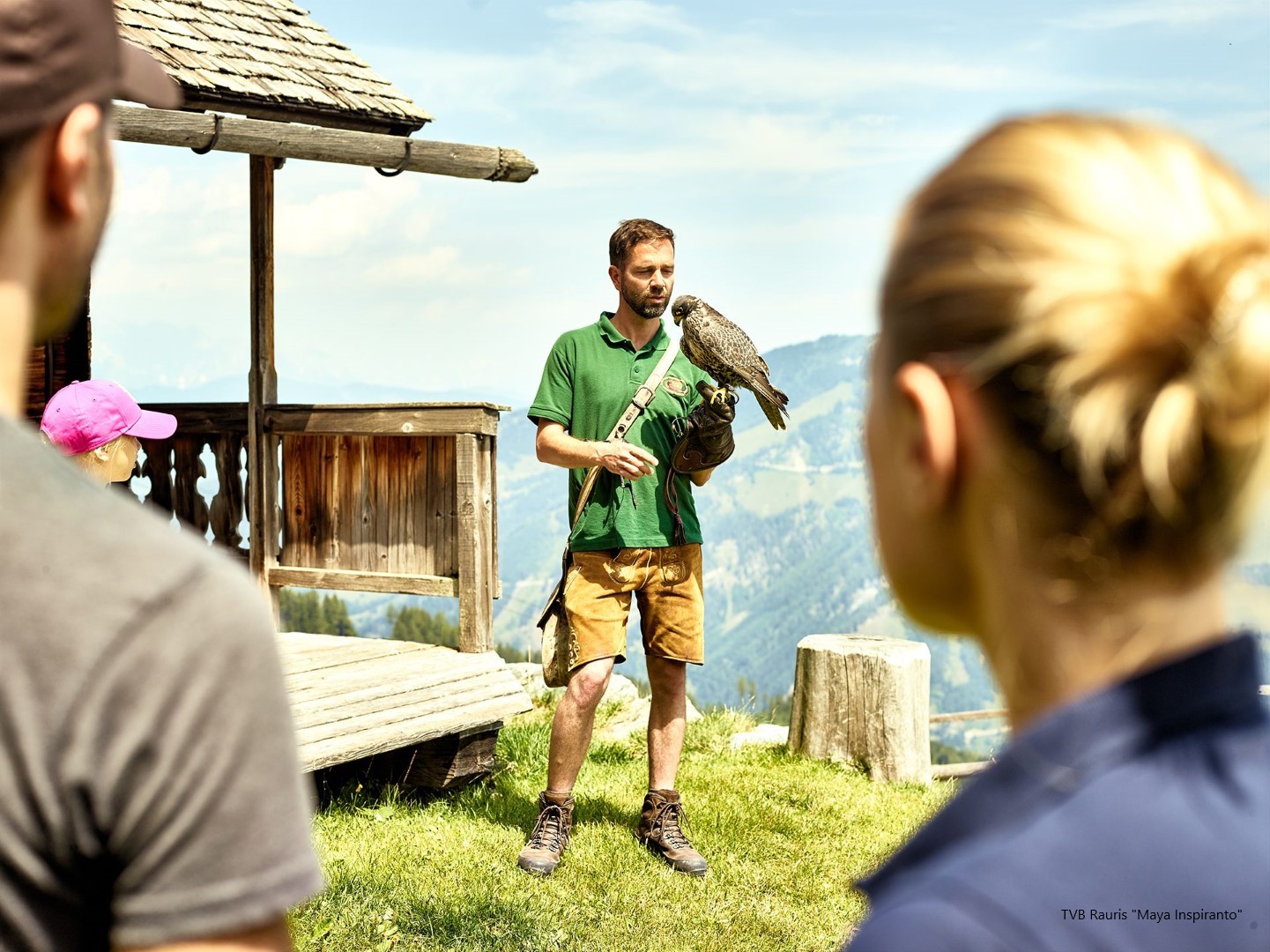 Greifvogelwarte am Berg