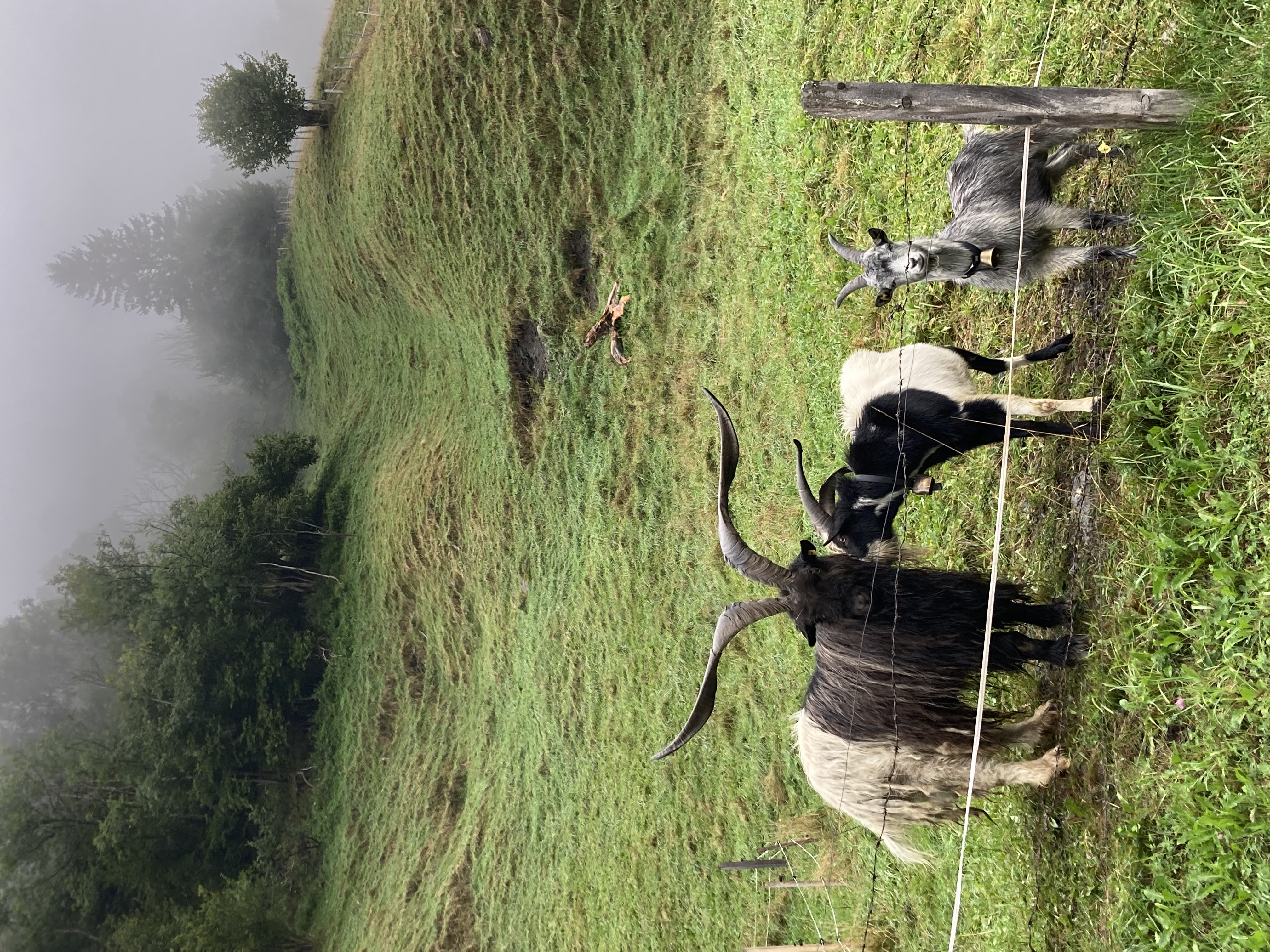 Rauris Natuur wandelen