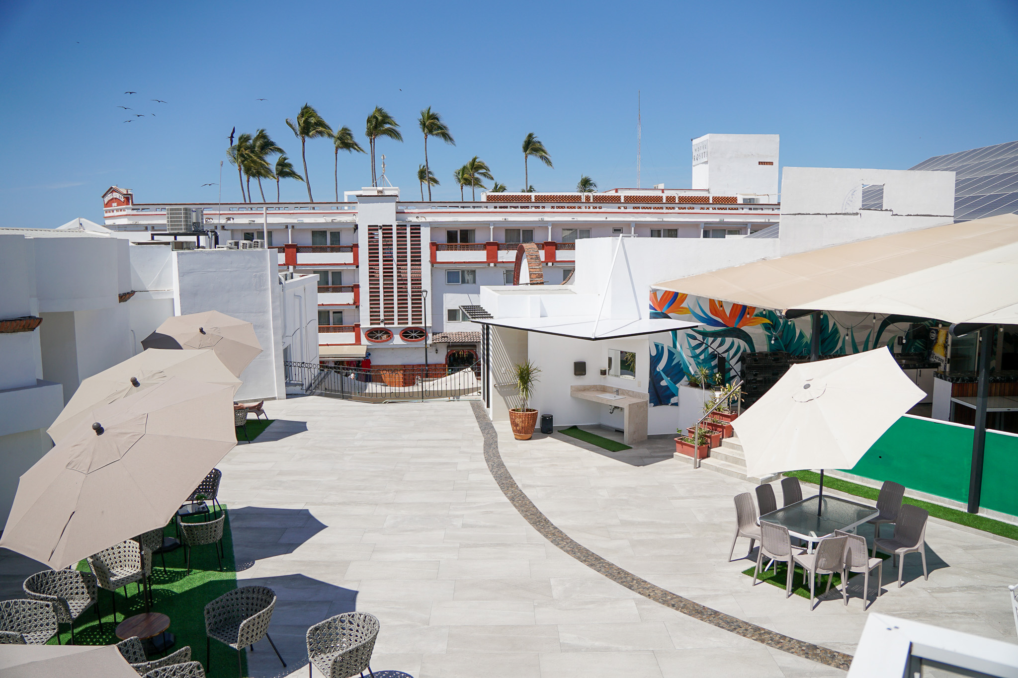 Terraza y asoleaderos